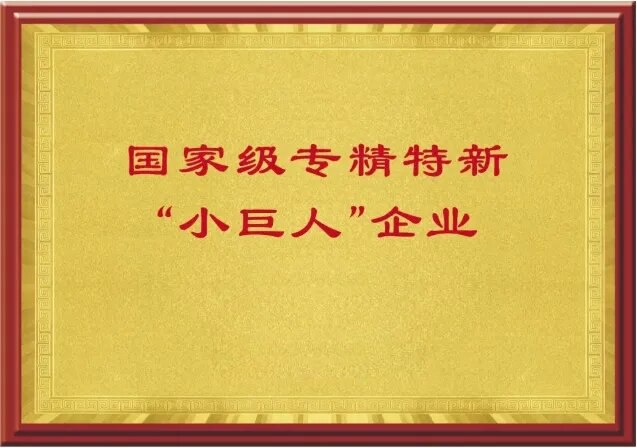 國家級專精特新“小巨人”企業(yè)